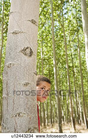 Picture - USA, Oregon, Boardman, Boy (8-9) playing seekand hide between poplar trees in tree farm. Fotosearch