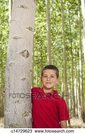 Stock Image - USA, Oregon, Boardman, Boy (8-9) standing between poplar trees in tree farm. Fotosearch