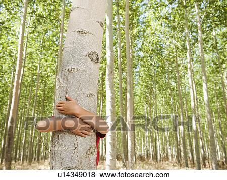 Stock Photo - USA, Oregon, Boardman, Boy (8-9) hugging poplar tree in tree farm. Fotosearch