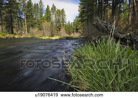 Stock Photo - USA, Oregon, Deschutes County, Metolious River. Fotosearch