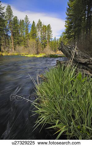 USA, Oregon, Deschutes County, Metolious River View Large Photo Image Stock Photography - USA, Oregon, Deschutes County, Metolious River. Fotosearch