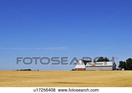 Stock Photo - USA, Oregon, Marion County, Farm under blue sky. Fotosearch