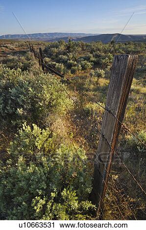 USA, Oregon, Old fence in desert View Large Photo Image Stock Image - USA, Oregon, Old fence in desert. Fotosearch