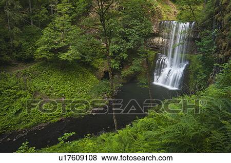 Stock Photo - USA, Oregon, Silver Falls State Park, Lower South Falls. Fotosearch