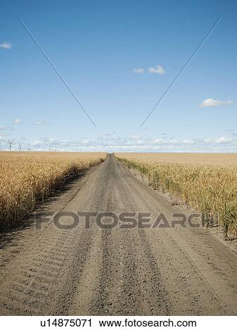 USA, Oregon, Wasco, Dirt road between wheat fields View Large Photo Image Stock Image - USA, Oregon, Wasco, Dirt road between wheat fields. Fotosearch