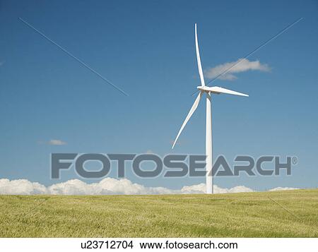Picture - USA, Oregon, Wasco, Wheat field and wind farm in bright sunshine under blue sky. Fotosearch