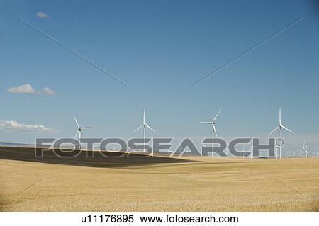 Stock Photography - USA, Oregon, Wasco, Wheat field and wind farm in bright sunshine under blue sky. Fotosearch
