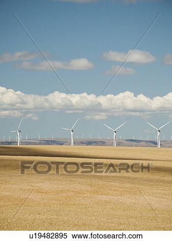 USA, Oregon, Wasco, Wheat field and wind farm in bright sunshine under blue sky View Large Photo Image Stock Photography - USA, Oregon, Wasco, Wheat field and wind farm in bright sunshine under blue sky. Fotosearch