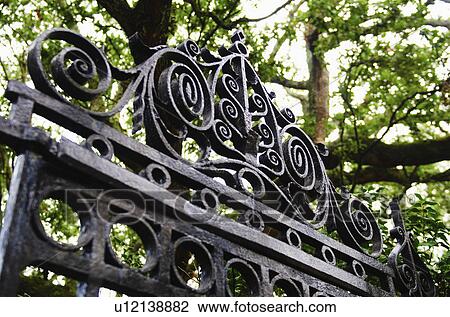 USA, South Carolina, Charleston, Close up of ornate iron gate View Large Photo Image Stock Image - USA, South Carolina, Charleston, Close up of ornate iron gate. Fotosearch