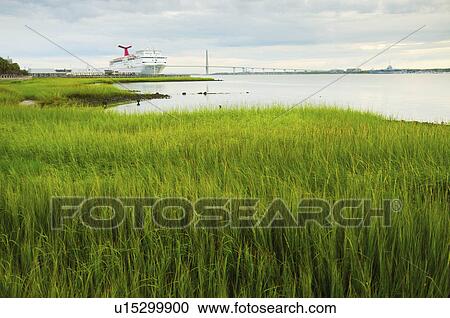 Stock Image - USA, South Carolina, Charleston, Green rushes on riverbank with ferry in background. Fotosearch