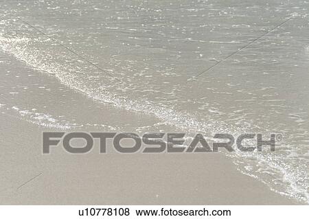 Beach, Gardner Bay, Espanola Island, Galapagos Islands, Ecuador View Large Photo Image Stock Photo - Beach, Gardner Bay, Espanola Island, Galapagos Islands, Ecuador. Fotosearch