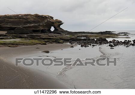 Beach, Puerto Egas, Santiago Island, Galapagos Islands, Ecuador View Large Photo Image Stock Photograph - Beach, Puerto Egas, Santiago Island, Galapagos Islands, Ecuador. Fotosearch