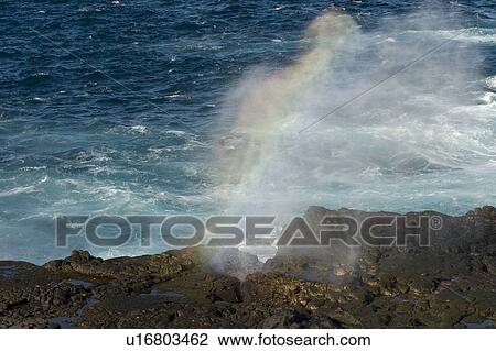 Stock Image - Blow hole on the coast, Punta Suarez, Espanola Island, Galapagos Islands, Ecuador. Fotosearch