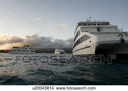 Boats in an ocean, Puerto Ayora, Santa Cruz Island, Galapagos Islands, Ecuador View Large Photo Image Picture - Boats in an ocean, Puerto Ayora, Santa Cruz Island, Galapagos Islands, Ecuador. Fotosearch