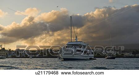 Boats in the bay with coastal town in the background, Puerto Ayora, Santa Cruz Island, Galapagos Islands, Ecuador View Large Photo Image Stock Photo - Boats in the bay with coastal town in the background, Puerto Ayora, Santa Cruz Island, Galapagos Islands, Ecuador. Fotosearch