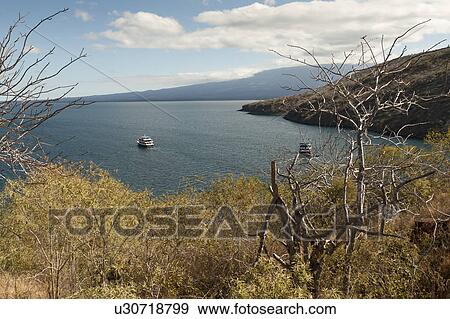 Stock Photo - Boats in the lagoon, Tagus Cove, Isabela Island, Galapagos Islands, Ecuador. Fotosearch