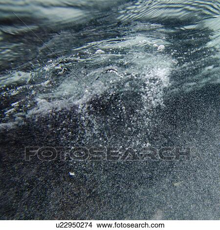 Bubbles underwater, Puerto Egas, Santiago Island, Galapagos Islands, Ecuador View Large Photo Image Picture - Bubbles underwater, Puerto Egas, Santiago Island, Galapagos Islands, Ecuador. Fotosearch