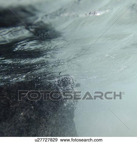 Bubbles underwater, Puerto Egas, Santiago Island, Galapagos Islands, Ecuador View Large Photo Image Stock Photo - Bubbles underwater, Puerto Egas, Santiago Island, Galapagos Islands, Ecuador. Fotosearch