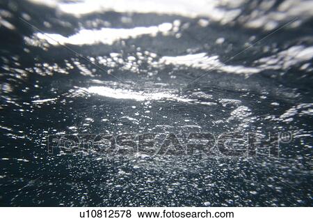 Bubbles underwater, San Cristobal Island, Galapagos Islands, Ecuador View Large Photo Image Stock Photo - Bubbles underwater, San Cristobal Island, Galapagos Islands, Ecuador. Fotosearch