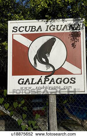 Close-up of a sign board, Scuba Iguana, Santa Cruz Island, Galapagos Islands, Ecuador View Large Photo Image Stock Image - Close-up of a sign board, Scuba Iguana, Santa Cruz Island, Galapagos Islands, Ecuador. Fotosearch