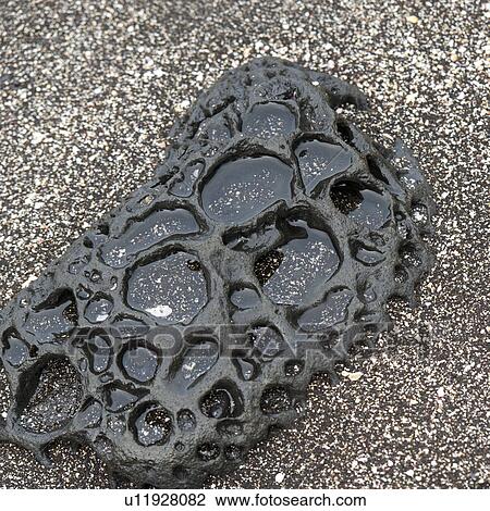Close-up of lava rock, Puerto Egas, Santiago Island, Galapagos Islands, Ecuador View Large Photo Image Stock Image - Close-up of lava rock, Puerto Egas, Santiago Island, Galapagos Islands, Ecuador. Fotosearch
