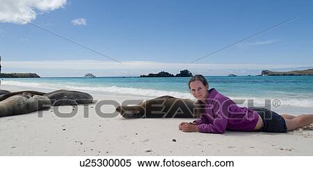 Stock Photography - High angle view of a woman lying on the beach with Galapagos sea lions (Zalophus californianus wollebacki), Gardner Bay, Espanola Island, Galapagos Islands, Ecuador. Fotosearch