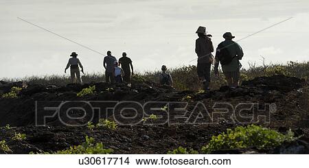 Hikers on a hill, Prince Philip's Steps, Tower Island, Darwin Bay, Genovesa Island, Galapagos Islands, Ecuador View Large Photo Image Picture - Hikers on a hill, Prince Philip's Steps, Tower Island, Darwin Bay, Genovesa Island, Galapagos Islands, Ecuador. Fotosearch