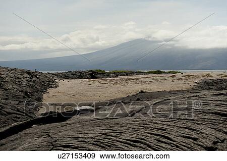 Stock Photo - Lava rocks on Punta Espinoza, Fernandina Island, Galapagos Islands, Ecuador. Fotosearch