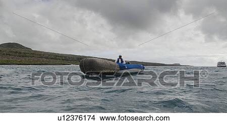 Picture - Man sitting in a panga in the Pacific Ocean, Playa Ochoa, San Cristobal Island, Galapagos Islands, Ecuador. Fotosearch