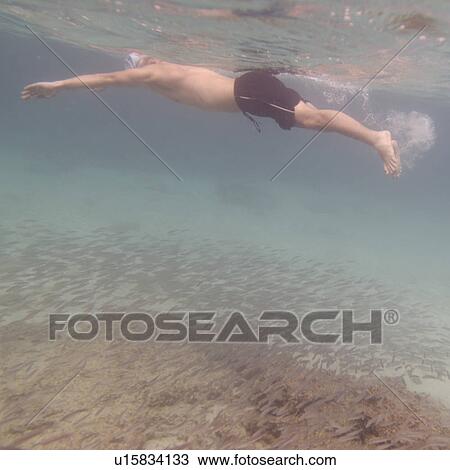 Stock Image - Man snorkeling underwater, Puerto Egas, Santiago Island, Galapagos Islands, Ecuador. Fotosearch