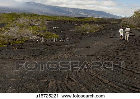 Stock Image - People walking near a volcanic crater, Punta Espinoza, Fernandina Island, Galapagos Islands, Ecuador. Fotosearch