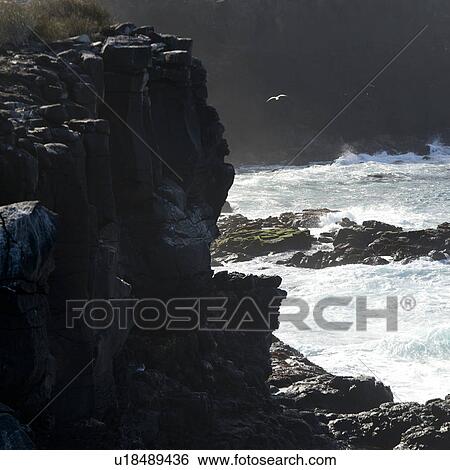 Stock Photograph - Punta Suarez, Espanola Island, Galapagos Islands, Ecuador. Fotosearch