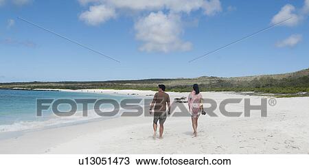 Rear view of tourists walking on the beach, Gardner Bay, Espanola Island, Galapagos Islands, Ecuador View Large Photo Image Stock Image - Rear view of tourists walking on the beach, Gardner Bay, Espanola Island, Galapagos Islands, Ecuador. Fotosearch