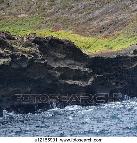 Santiago Island, Galapagos Islands, Ecuador View Large Photo Image Stock Image - Santiago Island, Galapagos Islands, Ecuador. Fotosearch