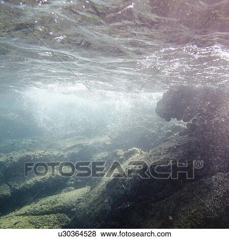Stock Photo - School of fish swimming underwater, Bartolome Island, Galapagos Islands, Ecuador. Fotosearch