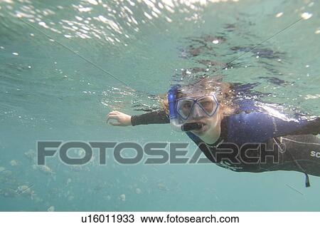 Scuba diver diving in the sea, Puerto Egas, Santiago Island, Galapagos Islands, Ecuador View Large Photo Image Stock Image - Scuba diver diving in the sea, Puerto Egas, Santiago Island, Galapagos Islands, Ecuador. Fotosearch