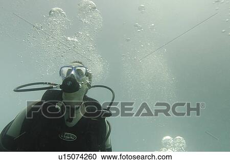 Scuba diver inhaling underwater, Santa Cruz Island, Galapagos Islands, Ecuador View Large Photo Image Stock Image - Scuba diver inhaling underwater, Santa Cruz Island, Galapagos Islands, Ecuador. Fotosearch