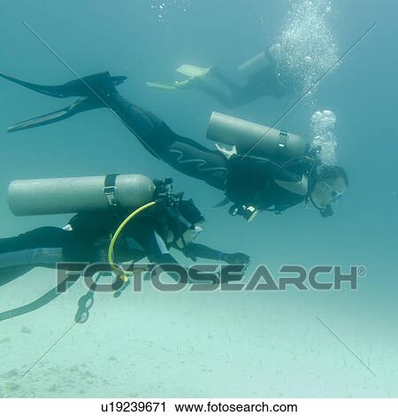 Scuba diver photographing underwater, Santa Cruz Island, Galapagos Islands, Ecuador View Large Photo Image Stock Image - Scuba diver photographing underwater, Santa Cruz Island, Galapagos Islands, Ecuador. Fotosearch