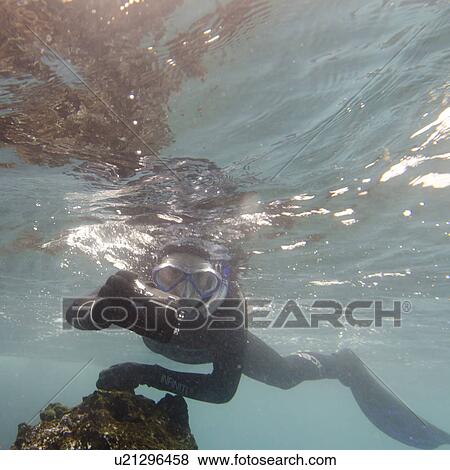 Stock Photo - Scuba diver photographing underwater, Gardner Bay, Espanola Island, Galapagos Islands, Ecuador. Fotosearch