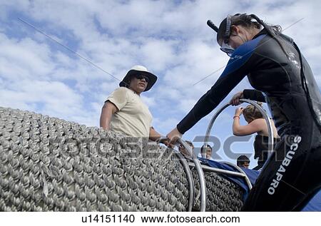 Stock Image - Scuba diver preparing for a dive, Puerto Egas, Santiago Island, Galapagos Islands, Ecuador. Fotosearch