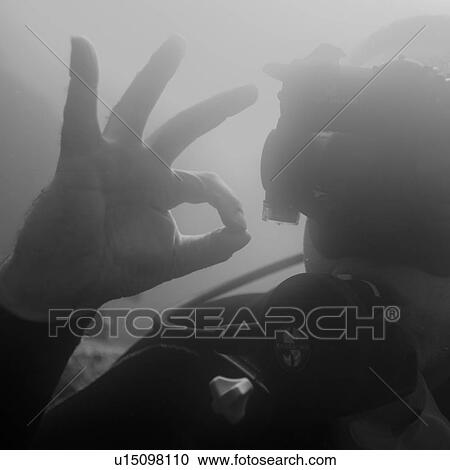 Scuba diver showing Ok sign underwater, Santa Cruz Island, Galapagos Islands, Ecuador View Large Photo Image Stock Image - Scuba diver showing Ok sign underwater, Santa Cruz Island, Galapagos Islands, Ecuador. Fotosearch