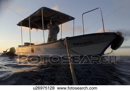 Stock Photo - Scuba diver swimming in the Pacific Ocean, San Cristobal Island, Galapagos Islands, Ecuador. Fotosearch