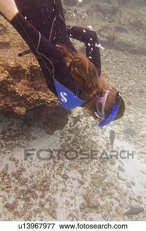 Stock Photo - Scuba diver swimming underwater, Puerto Egas, Santiago Island, Galapagos Islands, Ecuador. Fotosearch