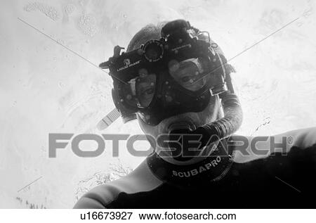 Stock Photo - Scuba diver swimming underwater, Puerto Egas, Santiago Island, Galapagos Islands, Ecuador. Fotosearch