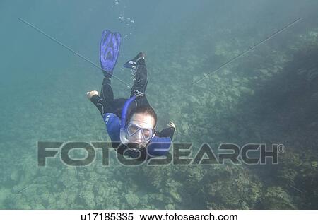 Stock Photography - Scuba diver swimming underwater, Puerto Egas, Santiago Island, Galapagos Islands, Ecuador. Fotosearch
