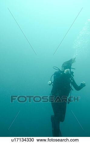 Stock Image - Scuba diver swimming underwater, San Cristobal Island, Galapagos Islands, Ecuador. Fotosearch