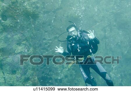 Stock Photo - Scuba diver swimming underwater, San Cristobal Island, Galapagos Islands, Ecuador. Fotosearch