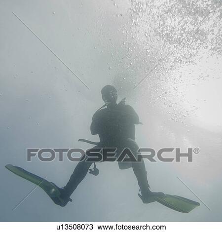 Scuba diver swimming underwater, Santa Cruz Island, Galapagos Islands, Ecuador View Large Photo Image Stock Image - Scuba diver swimming underwater, Santa Cruz Island, Galapagos Islands, Ecuador. Fotosearch