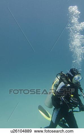 Scuba diver swimming underwater, Santa Cruz Island, Galapagos Islands, Ecuador View Large Photo Image Stock Photo - Scuba diver swimming underwater, Santa Cruz Island, Galapagos Islands, Ecuador. Fotosearch