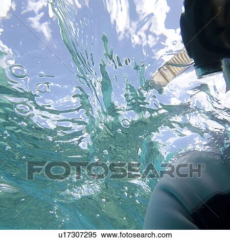 Scuba diver swimming underwater, Gardner Bay, Espanola Island, Galapagos Islands, Ecuador View Large Photo Image Stock Photography - Scuba diver swimming underwater, Gardner Bay, Espanola Island, Galapagos Islands, Ecuador. Fotosearch